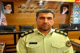 بازداشت 2 مرد که در جنوب تهران باعث بدنامی پلیس شده بودند

