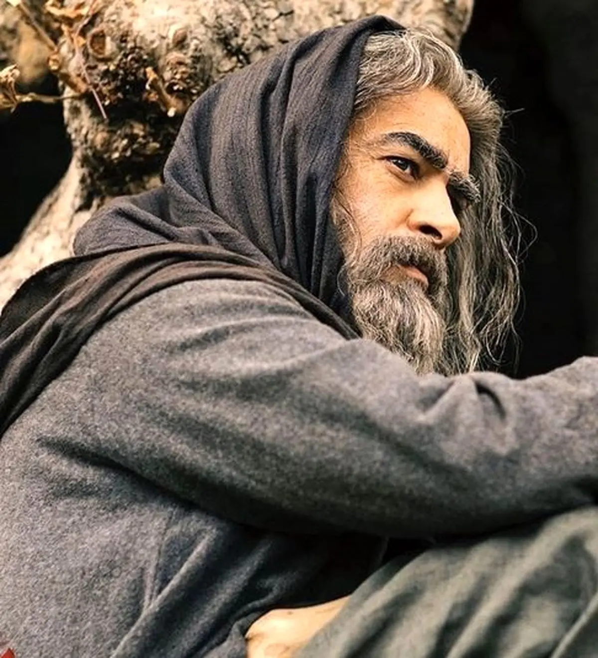 دلتنگی شهاب حسینی 