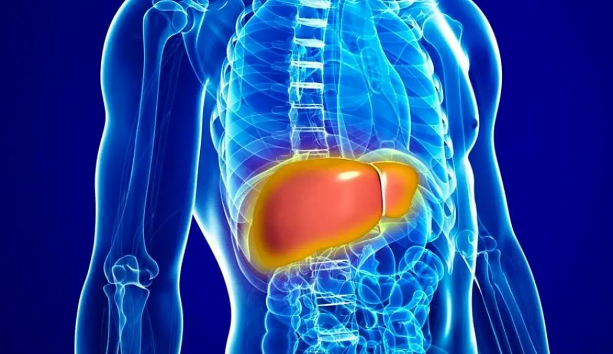 10 راهکار ساده برای کمک به سلامت کبد