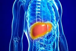 درمان خانگی | با این دمنوش خوشمزه از شر کبد چرب خلاص شو