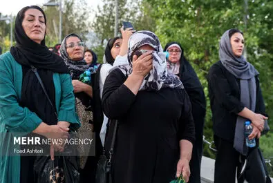 پرچم علوی