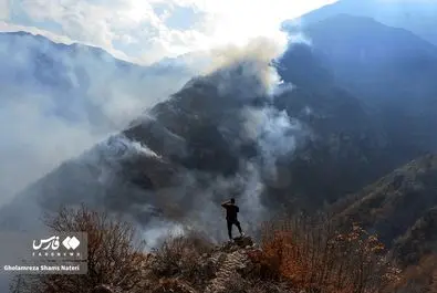 آتش سوزی جنگل