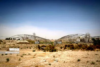 خشکسالی هامون
