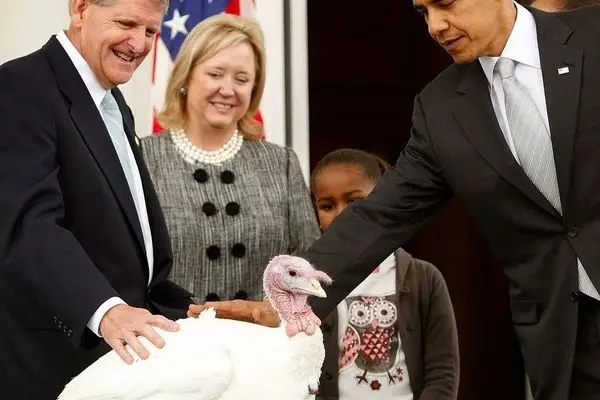 تصاویر مراسم عفو بوقلمون توسط رؤسای جمهور سابق آمریکا 