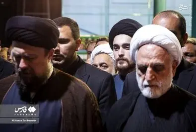 صانعی