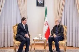 رضایت اصلاح‌طلبان از عملکرد مخبر