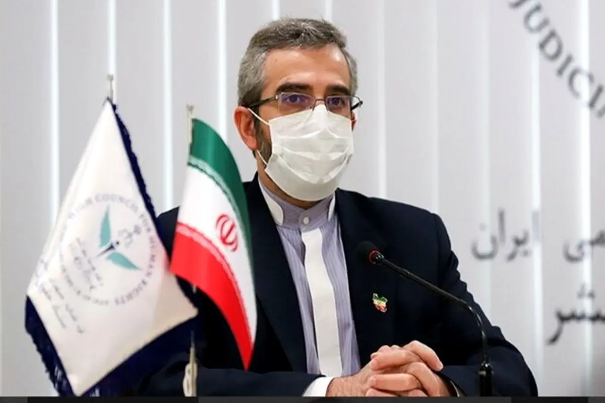 باقری‌کنی: ترفندهای مثلث غربی، عبری و عربی ناتوان از ایستادگی در برابر جبهه مقاومت است
