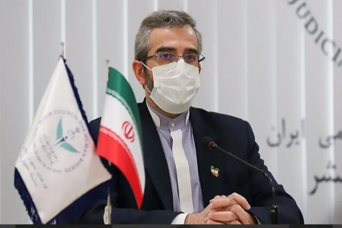 باقری‌کنی: ترفندهای مثلث غربی، عبری و عربی ناتوان از ایستادگی در برابر جبهه مقاومت است
