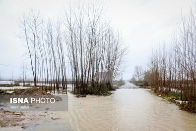 سیل و آبگرفتگی