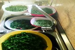 عکس جالب کمند امیرسلیمانی برای اینکه نشان دهد زندگی عجیب و خاصی ندارد!