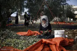 فرشتگان کوچکی که به جای تحصیل و بازی ، نقش آدم بزرگ ها را ایفا می کنند/تصاویر