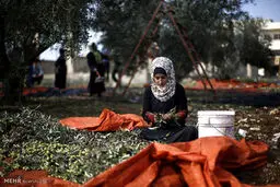 فرشتگان کوچکی که به جای تحصیل و بازی ، نقش آدم بزرگ ها را ایفا می کنند/تصاویر