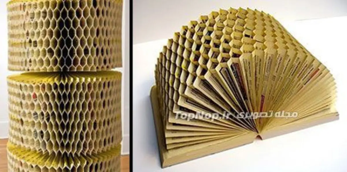 کتاب کندو شکل (عکس)