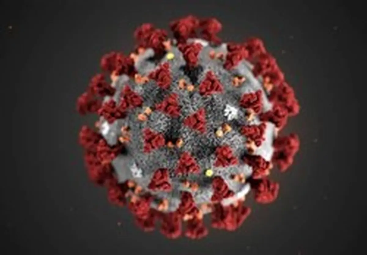 فیلم/ انتقال ویروس کرونا از طریق هوا صحت دارد؟