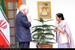 دیدار ظریف و وزیرخارجه هند/عکس