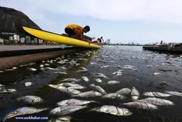 فاجعه در ساحل برزیل/عکس