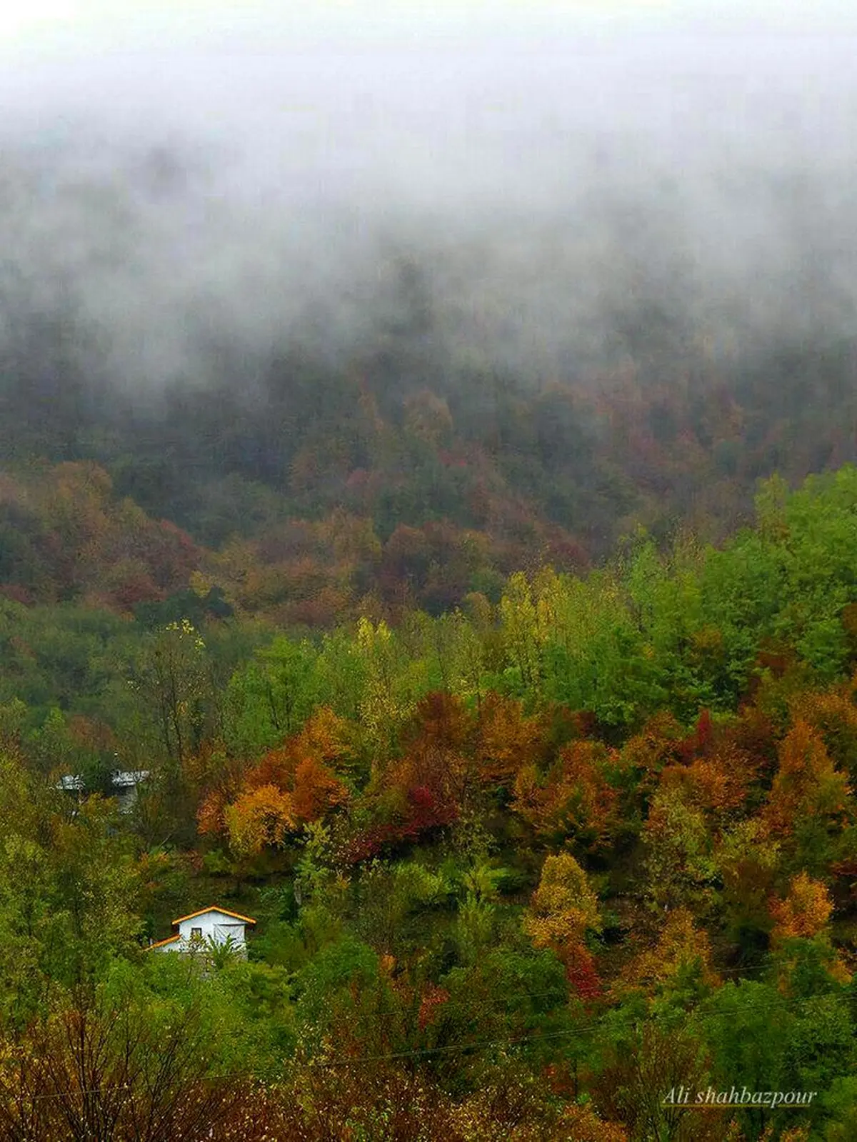 تصویر دیگری از زیبایی های ایران زمین