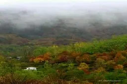 تصویر دیگری از زیبایی های ایران زمین