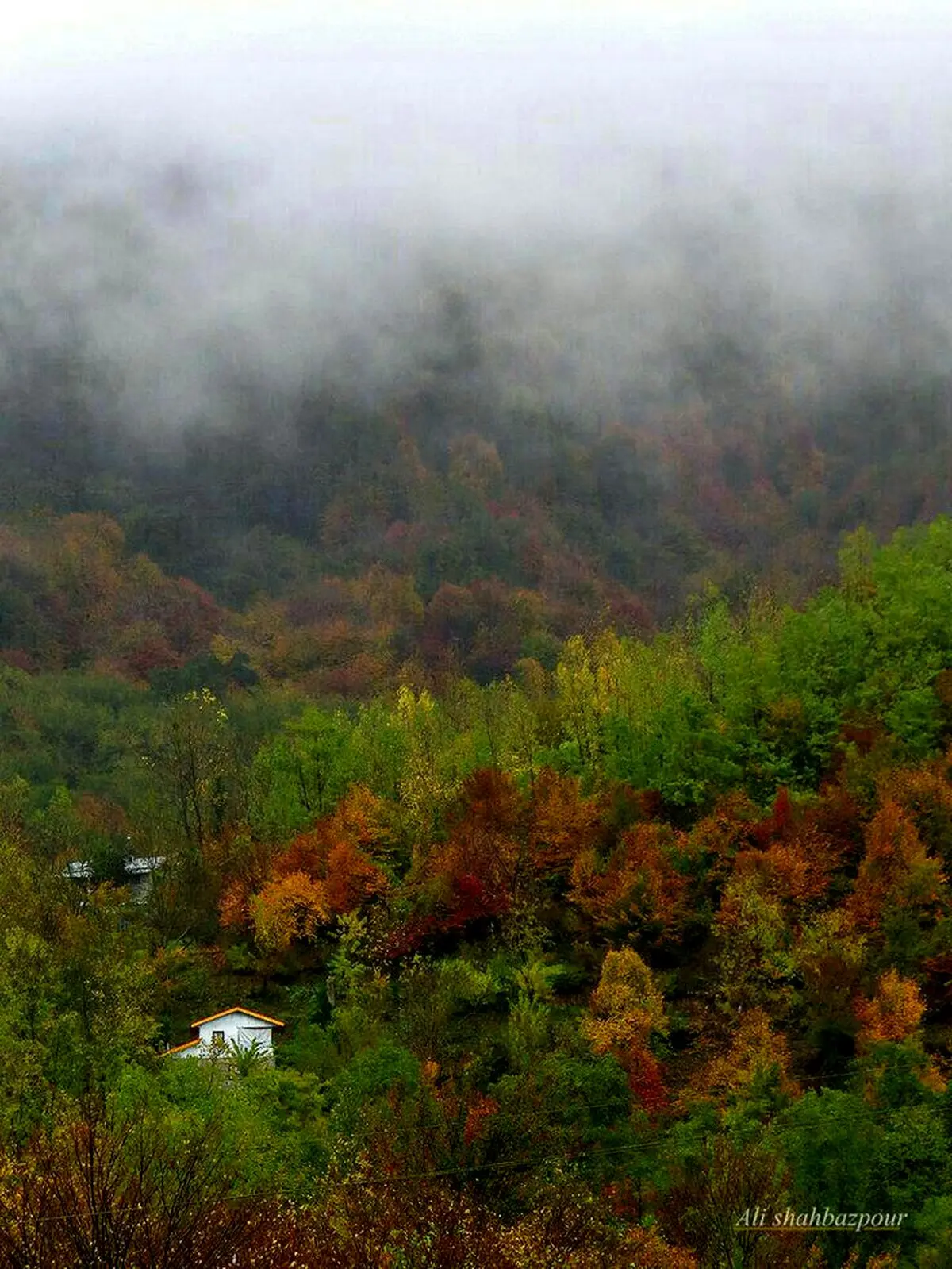 تصویر دیگری از زیبایی های ایران زمین