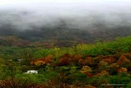 تصویر دیگری از زیبایی های ایران زمین