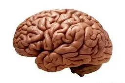 مودم مغزی جایگزین پروتز می‌شود+عکس