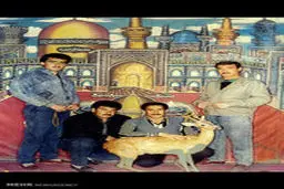 عکس های یادگاری با حرم امام رضا