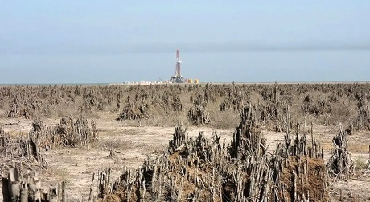 تالاب هورالعظیم خشک شد/عکس