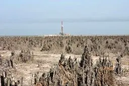 تالاب هورالعظیم خشک شد/عکس