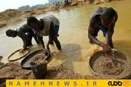 یکی از کثیف ترین شغل های دنیا/ عکس