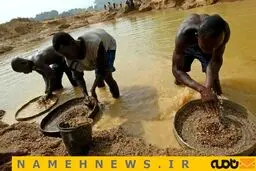 یکی از کثیف ترین شغل های دنیا/ عکس
