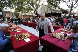 عکس / بازی همزمان کاسپاروف قهرمان سابق شطرنج جهان با 16 نفر