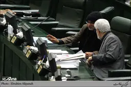 شال و کلاه یک نماینده در مجلس/ عکس