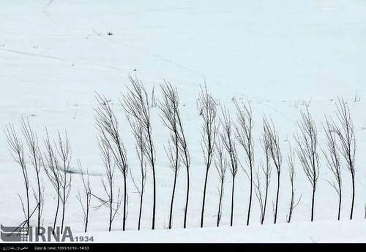 طبیعت زمستانی دامنه های سبلان در اردبیل (عکس)