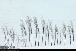 طبیعت زمستانی دامنه های سبلان در اردبیل (عکس)