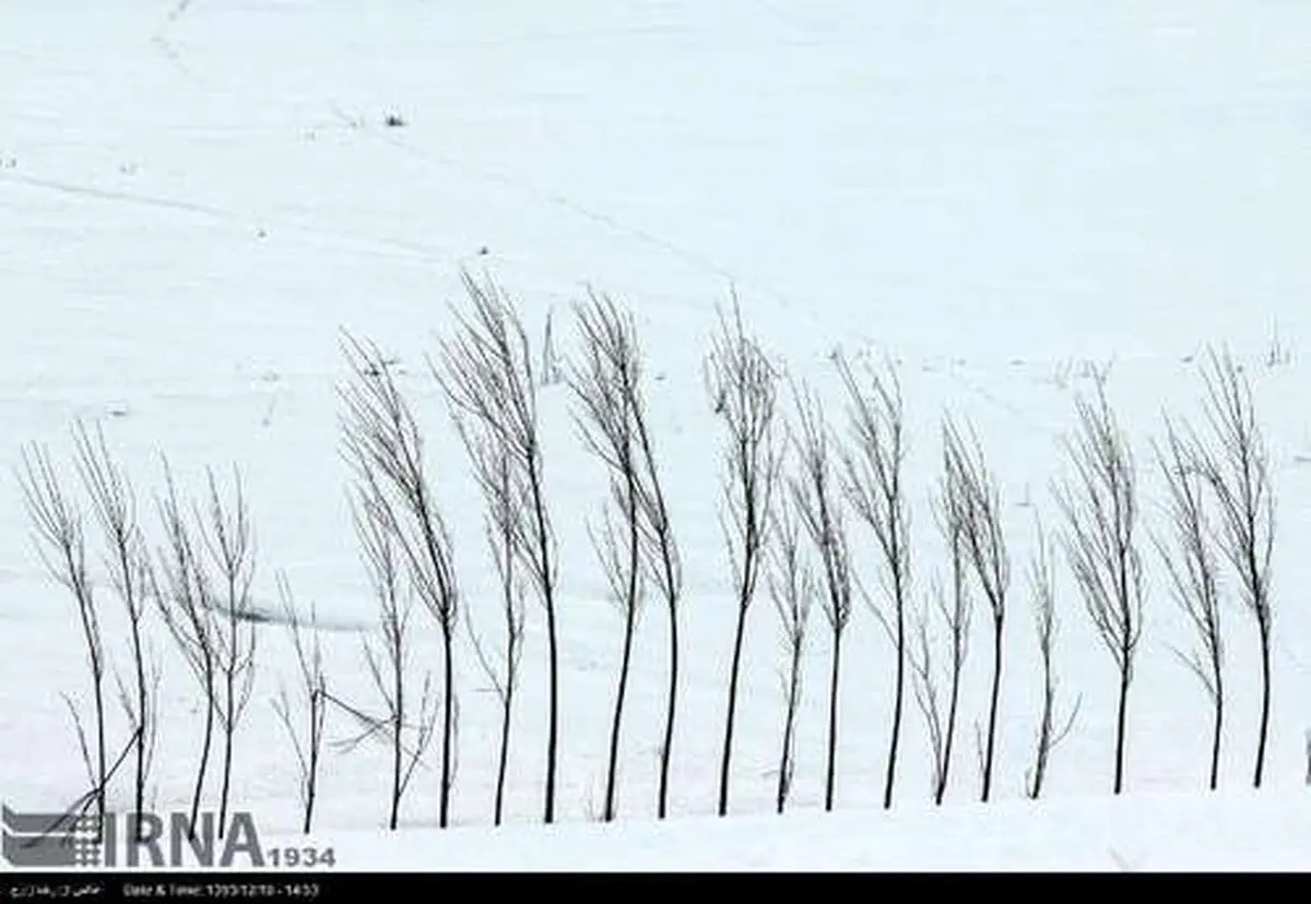 طبیعت زمستانی دامنه های سبلان در اردبیل (عکس)