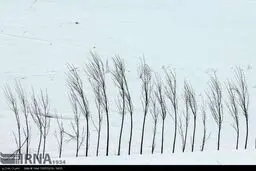 طبیعت زمستانی دامنه های سبلان در اردبیل (عکس)