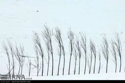 طبیعت زمستانی دامنه های سبلان در اردبیل (عکس)