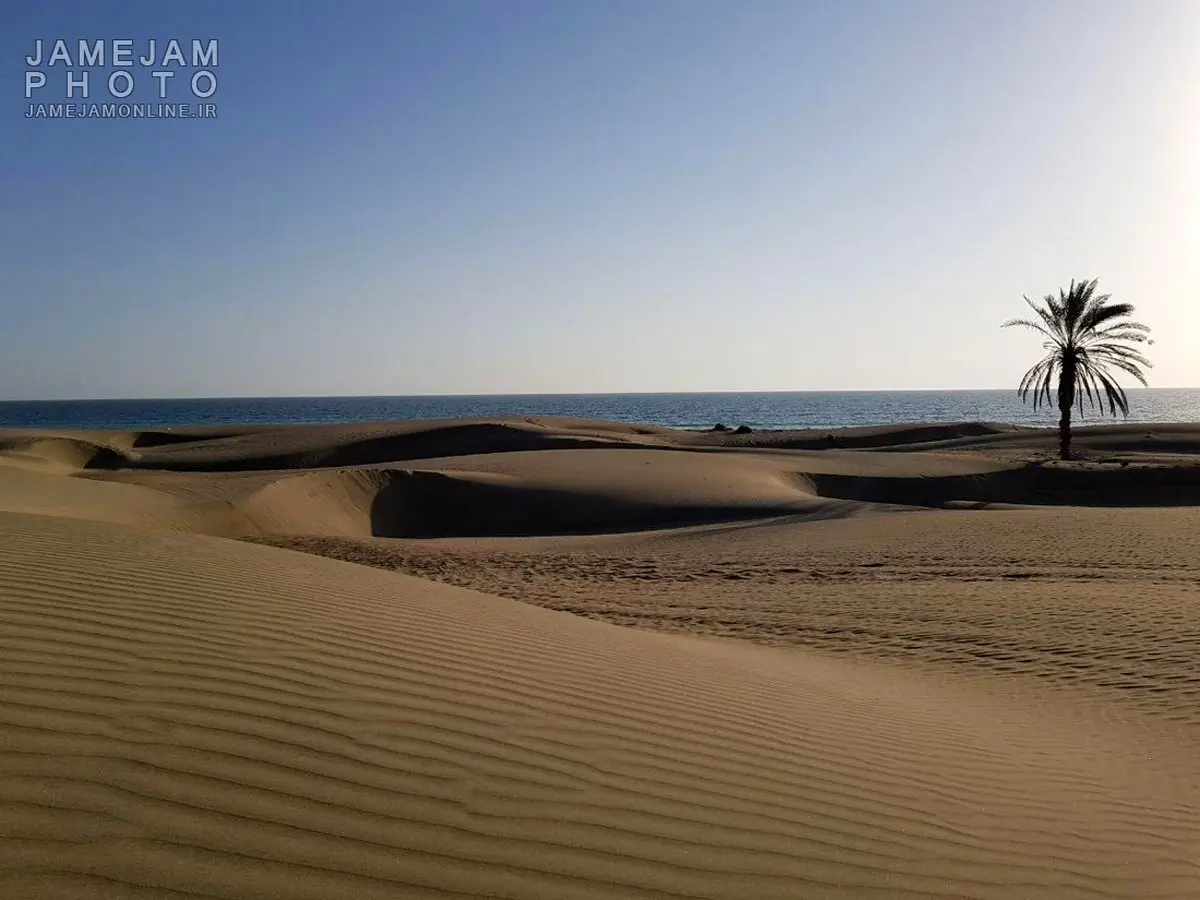 تصاویری رویایی از محل تلاقی دریا و بیابان در چابهار/تصاویر