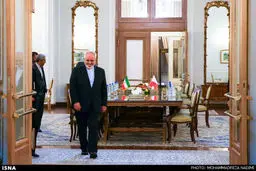 حواشی دیدار وزیرخارجه مالت با ظریف/ تصاویر