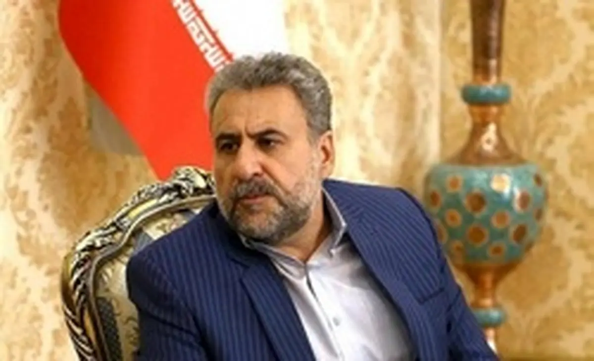 فلاحت‌پیشه: عدم اطلاع از شلیک موشک به هواپیما پنهان‌کاری است/ کار کاملا غیرحرفه‌ای از نظر نظامی انجام شد