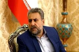فلاحت‌پیشه: عدم اطلاع از شلیک موشک به هواپیما پنهان‌کاری است/ کار کاملا غیرحرفه‌ای از نظر نظامی انجام شد