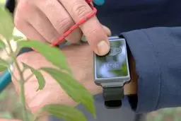 ساعتی که با خنک کردن مچ دست تمام بدن را خنک می‌کند+تصاویر