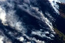 آتش‌سوزی جنگل‌های ارسباران عمدی بوده است؟