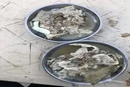 پذیرایی از ایرانی ها با صبحانه محبوب! / عکس