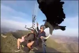 فیلم دیده نشده و با جال از چتربازی یک کرکس