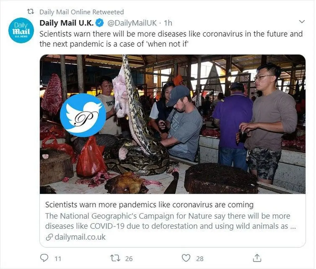 بیماری های بدتر از کرونا در انتظار بشر! + توئیتر