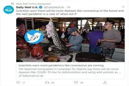 بیماری های بدتر از کرونا در انتظار بشر! + توئیتر