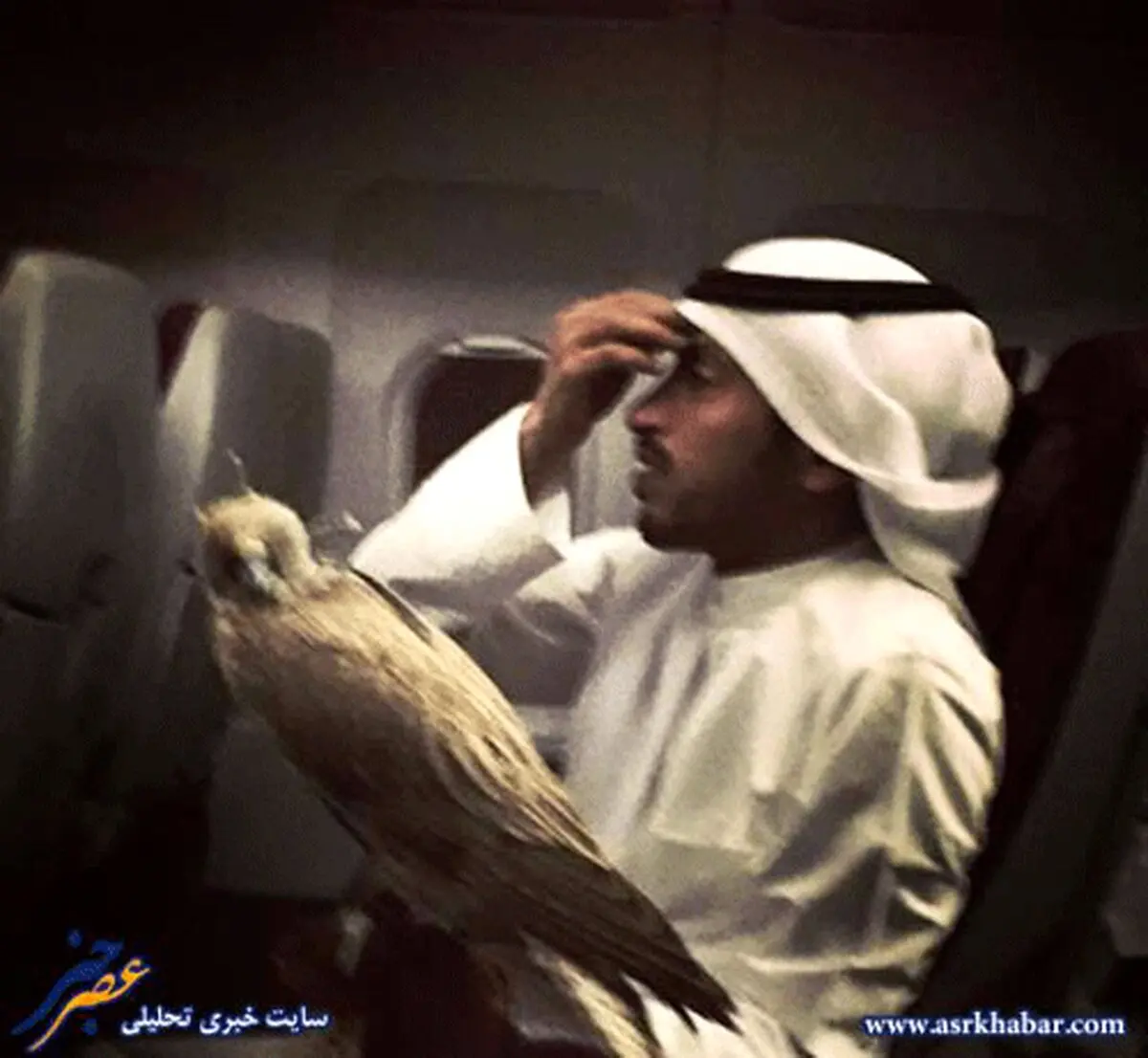 عجیب ترین مسافر هواپیما/عکس