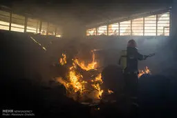 یک واحد تولیدی کارتن و مقوا در شهرک صنعتی شاهرود طعمه ی حریق شد/تصاویر