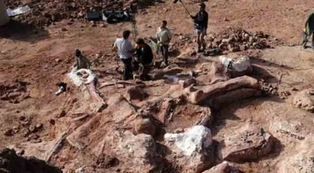 کشف بقایای بزرگترین دایناسور جهان/ وزن «دریدناتوس» برابر با یک گله فیل آفریقایی است+عکس